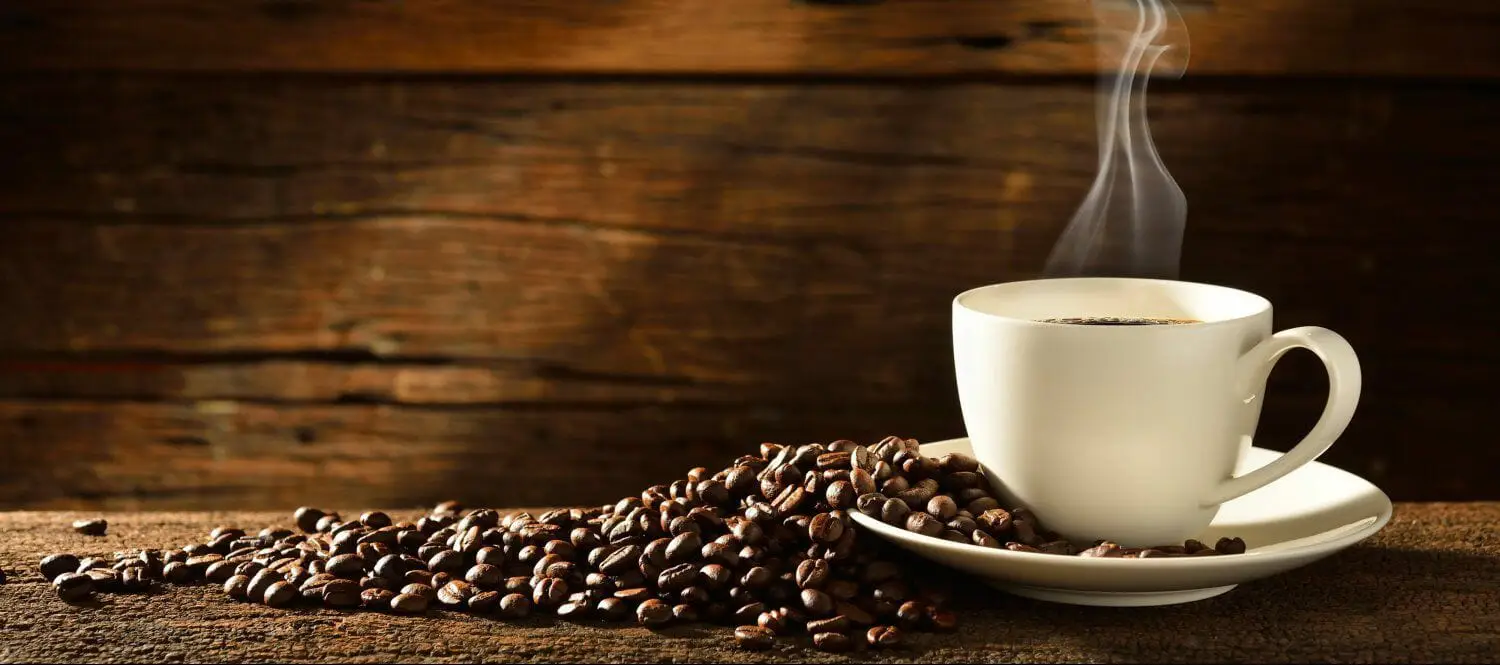 vegetarisch opblijven statistieken 19 bereidingsmethodes voor geweldige koffie » Vivakoffie
